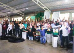 En el sur del Cauca se fortalece la capacidad de exportación de limón Tahití.